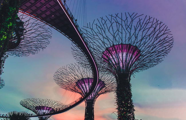 Singapore Private Tour - Photo 3