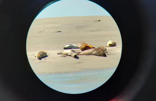 Superbe appartement cosy, à 50m de la plage, 4 pers - Foto 14