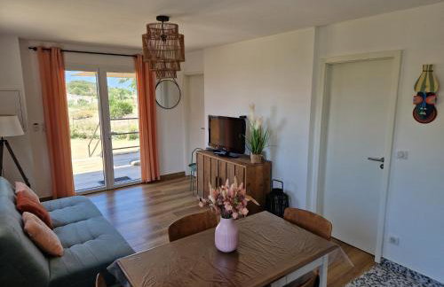 T2 Neuf climatisé dans villa à Corbara - Foto 1