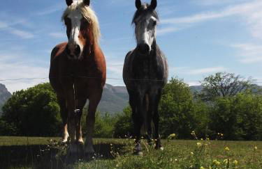 Chalets du Bois de Vache - Foto 38