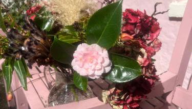 The Pink Cottage upstairs suite & Garden Summer Room - Foto 4