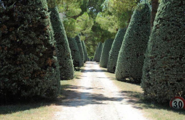 Agriturismo al Colle - Photo 50