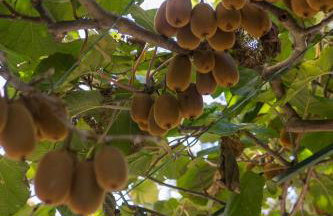 Apartment Bruno - Foto 25