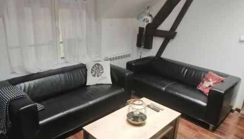 F3 2CHBS TOUT EQUIPE SULLY CENTRE - Photo 2