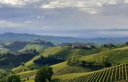 Agriturismo i Grappoli - Foto 17