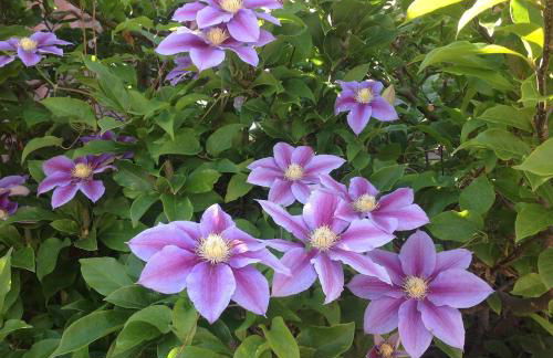 Messezimmer Laatzen APO 3 - Foto 21