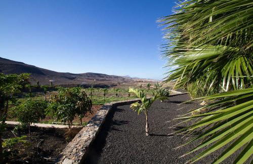 Finca Arbequina - Photo 68