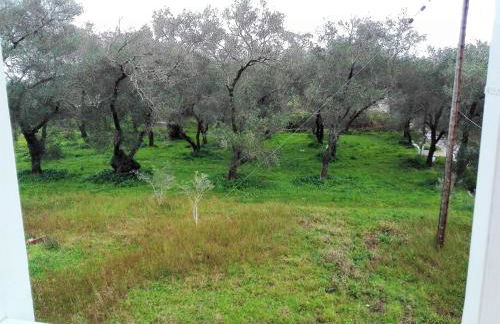 Katerina's home - Foto 11