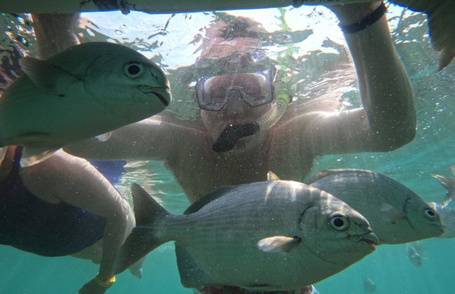 Ixtapa Island: A Family Paradise - Photo 7