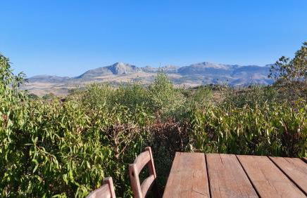 El Paraíso Perdido - Foto 69