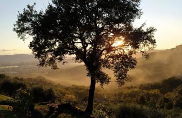 Agriturismo La Forestaria - Foto 60