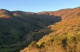 Cortijo Vacas Gordas Villas - Foto 50