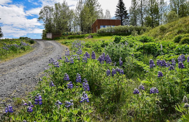 Brún cottage - Foto 13