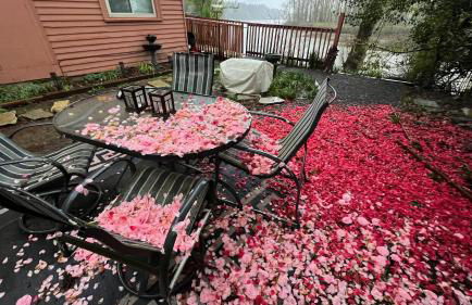 Blue Heron Sanctuary & Serene, river-front cottage - Foto 35