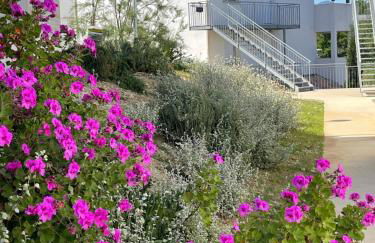 App. 2 p design zen vue mer N182 - Foto 58