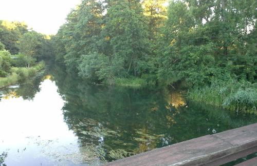 Familie Drescher - Foto 12