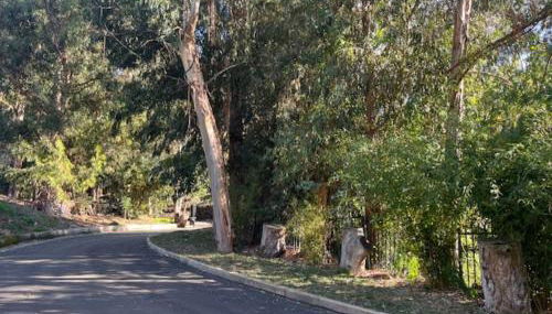 Specious 6000 sf privat gated villa with View - Foto 2, Garden view