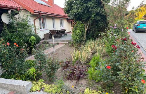 Agroturystyka ROGALA - Foto 32