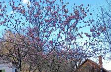 Dom w górach Zacisze lasu - Foto 26