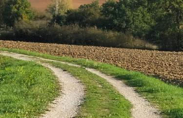 L'oca Nera - Foto 44