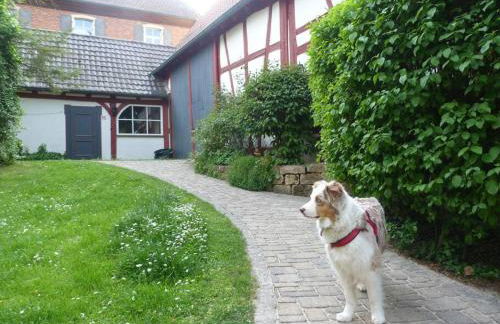 Maisonette-Appartment in historischem Ambiente - Foto 14