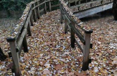 Finca rural Labriega del hueznar - Photo 54