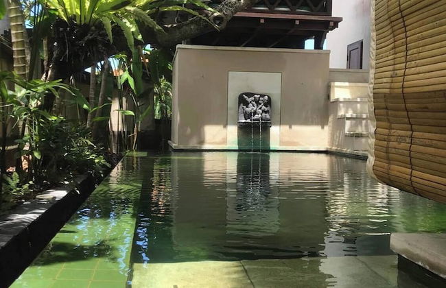 Tamu Seseh - Photo 25