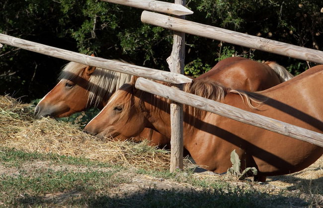 Peaceful Haven in Paciano Hills - Foto 39