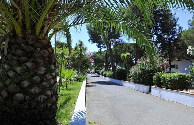 New Apartment in Baia Domzia Near the sea - Photo 20