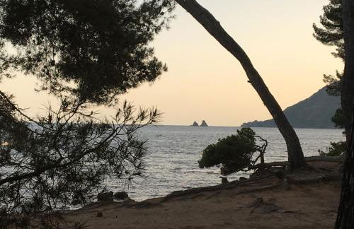 Le Cosy Pin Rolland - Photo 29