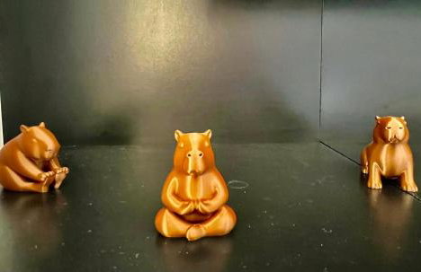 Studio Moderno no Coração de Curitiba Temático Capivara - Foto 44