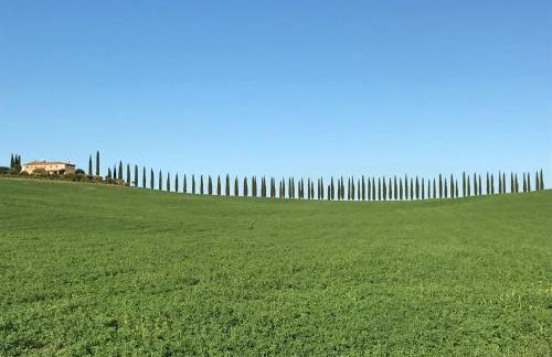 Grove Cottage: Immersed in nature & close to town - Photo 49