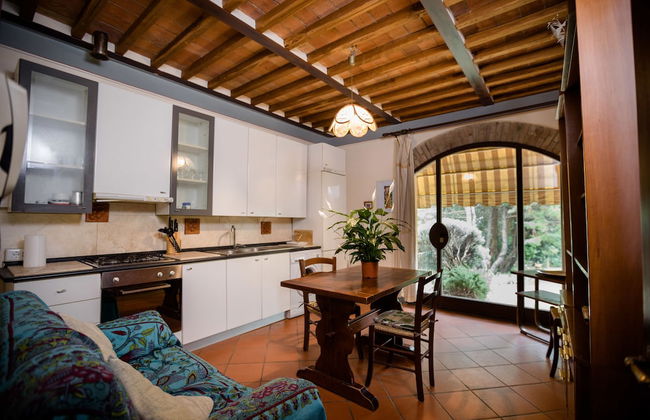 Fattoria Sant'Andrea - Photo 13