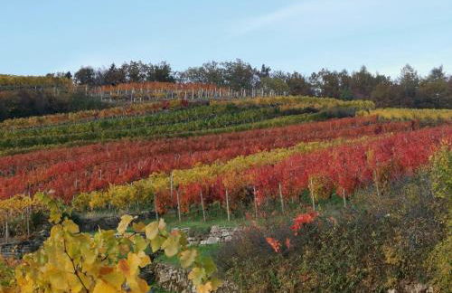 Ferienwohnung im Turm Bellevue mit 3 Schlafzimmern - Foto 17