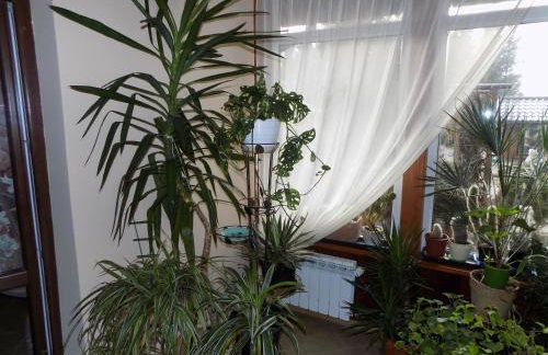 Kwiatowa Zagroda - Foto 47