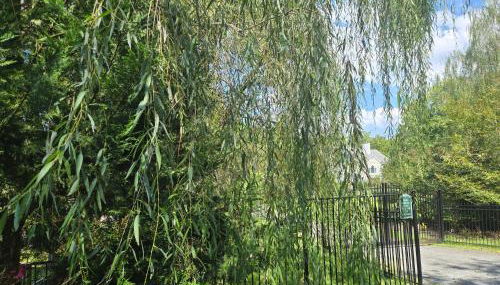 Beautiful 1BR Walkout Fenced & Gated Villa - Foto 2