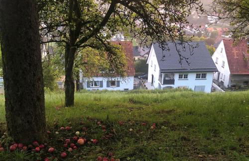 Dalhausen, Am Schönste Aussicht - Foto 6