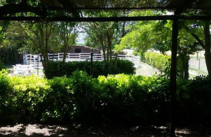 B&B Home Holiday Villa delle Acacie agriturismo - Foto 91