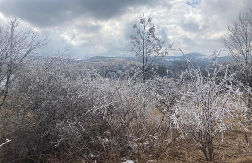 Erzgebirgshaus Zirbenliebe - Foto 46