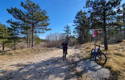 Apartman EN - Foto 70