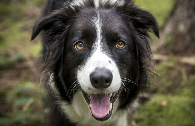 Secluded Apartment in Schönsee near Forest - Photo 28