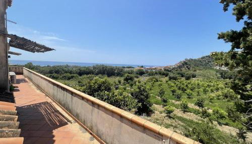 Tenuta baronale jò - sant'elia 4 - Foto 2