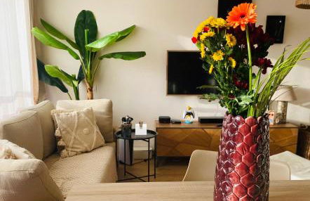 Appartement 45m2 - 4 couchages - Proche Cannes -plages à 2km -wifi rapide - Foto 1