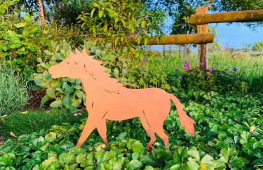 Tiny House auf Pferdehof - Foto 15