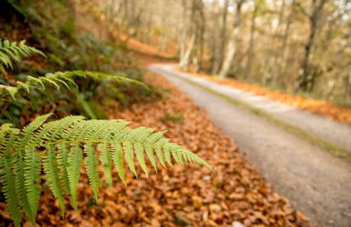 Casa Ronderos - Las Casas del Oso - Foto 28