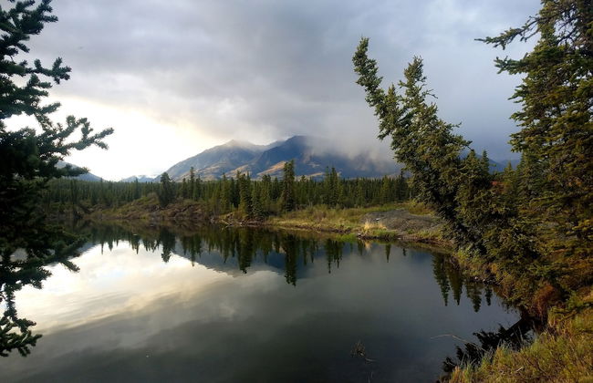 Avens Alaska - Foto 33