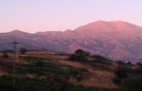 Elia Meronas - Photo 32