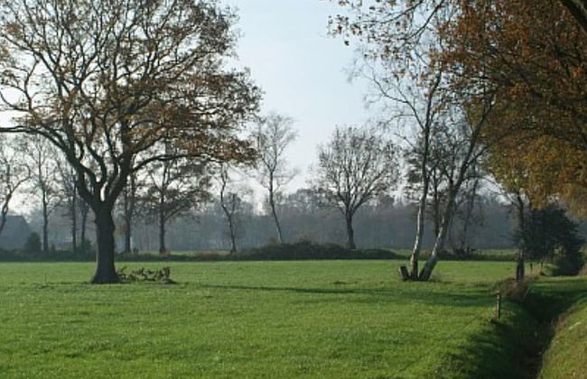 Spacious Holiday Home in Noordwolde With Garden - Photo 32