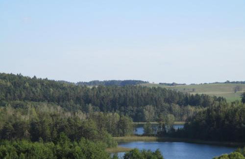 Dworek Telimena - Foto 29