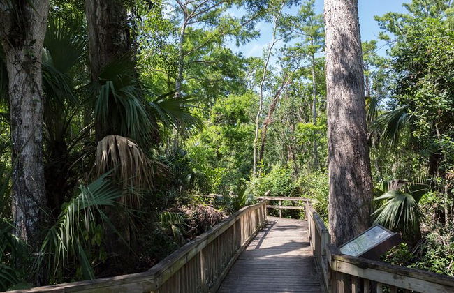 Big Cypress National Preserve Self Guided Driving Audio Tour - Photo 10